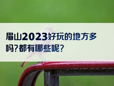 眉山2023好玩的地方多吗？都有哪些呢？