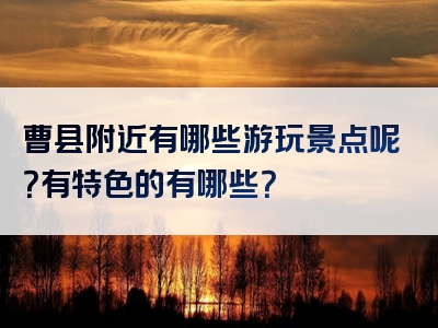 曹县附近有哪些游玩景点呢？有特色的有哪些？