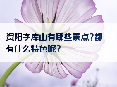 资阳字库山有哪些景点？都有什么特色呢？