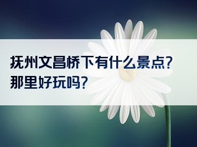 抚州文昌桥下有什么景点？那里好玩吗？