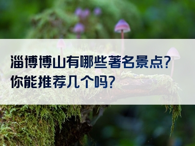 淄博博山有哪些著名景点？你能推荐几个吗？