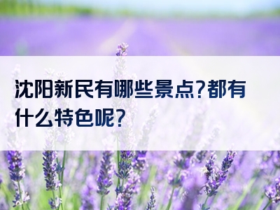 沈阳新民有哪些景点？都有什么特色呢？