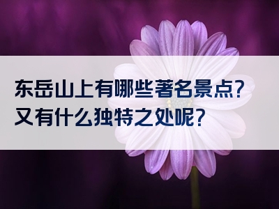 东岳山上有哪些著名景点？又有什么独特之处呢？