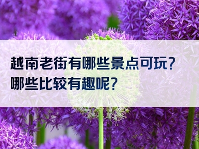 越南老街有哪些景点可玩？哪些比较有趣呢？