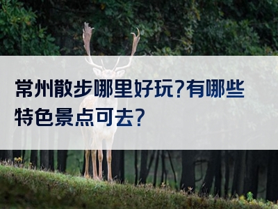 常州散步哪里好玩？有哪些特色景点可去？
