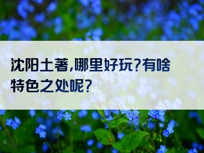 沈阳土著，哪里好玩？有啥特色之处呢？