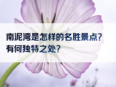 南泥湾是怎样的名胜景点？有何独特之处？