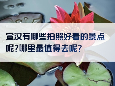 宣汉有哪些拍照好看的景点呢？哪里最值得去呢？