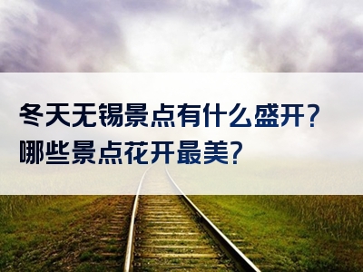 冬天无锡景点有什么盛开？哪些景点花开最美？