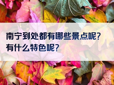 南宁到处都有哪些景点呢？有什么特色呢？