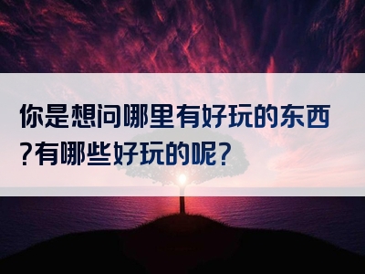 你是想问哪里有好玩的东西？有哪些好玩的呢？