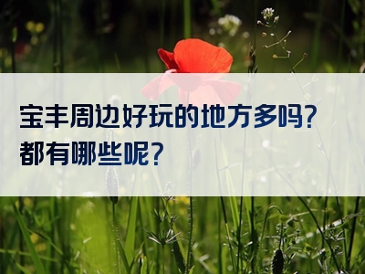 宝丰周边好玩的地方多吗？都有哪些呢？