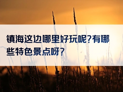 镇海这边哪里好玩呢？有哪些特色景点呀？