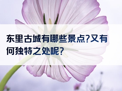 东里古城有哪些景点？又有何独特之处呢？