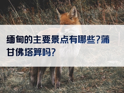 缅甸的主要景点有哪些？蒲甘佛塔算吗？