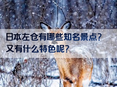 日本左仓有哪些知名景点？又有什么特色呢？