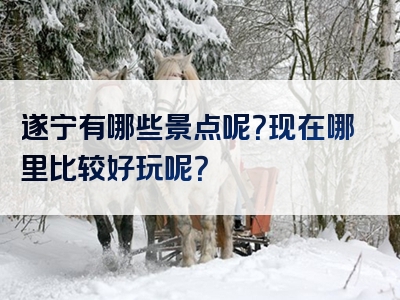 遂宁有哪些景点呢？现在哪里比较好玩呢？