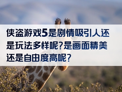 侠盗游戏5是剧情吸引人还是玩法多样呢？是画面精美还是自由度高呢？