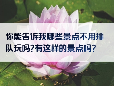 你能告诉我哪些景点不用排队玩吗？有这样的景点吗？