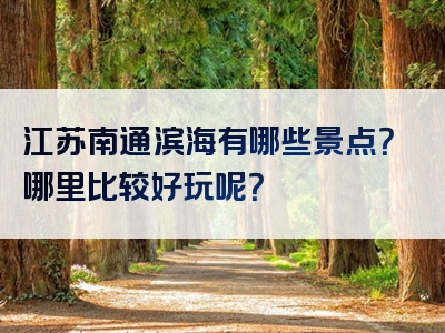 江苏南通滨海有哪些景点？哪里比较好玩呢？