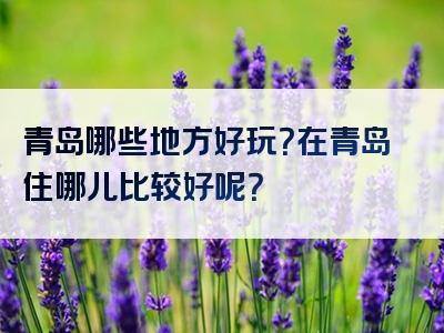青岛哪些地方好玩？在青岛住哪儿比较好呢？