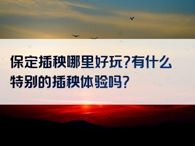 保定插秧哪里好玩？有什么特别的插秧体验吗？