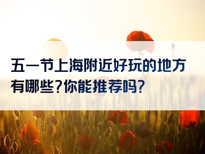 五一节上海附近好玩的地方有哪些？你能推荐吗？