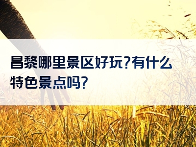 昌黎哪里景区好玩？有什么特色景点吗？