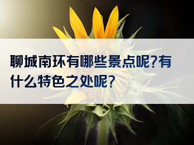 聊城南环有哪些景点呢？有什么特色之处呢？