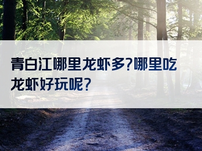 青白江哪里龙虾多？哪里吃龙虾好玩呢？