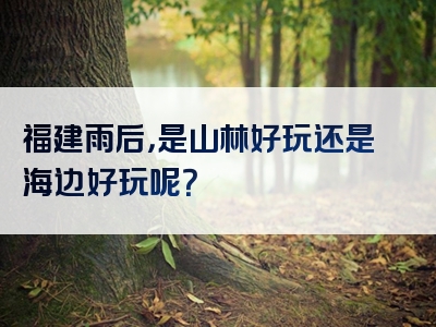福建雨后，是山林好玩还是海边好玩呢？