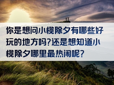 你是想问小榄除夕有哪些好玩的地方吗？还是想知道小榄除夕哪里最热闹呢？