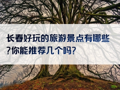 长春好玩的旅游景点有哪些？你能推荐几个吗？