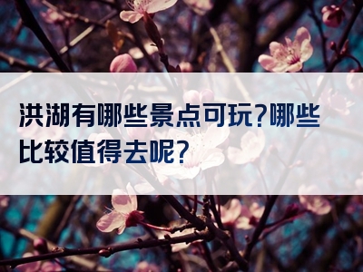 洪湖有哪些景点可玩？哪些比较值得去呢？