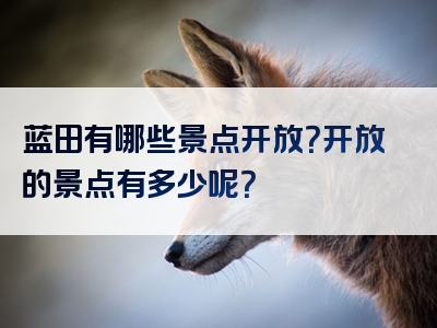 蓝田有哪些景点开放？开放的景点有多少呢？