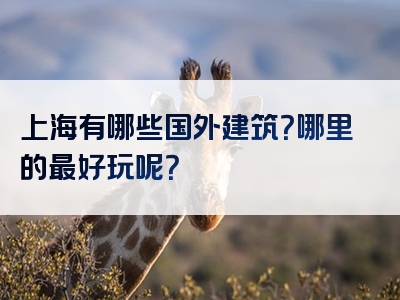 上海有哪些国外建筑？哪里的最好玩呢？