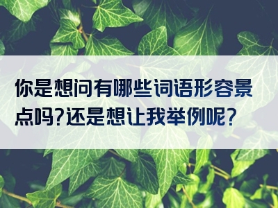 你是想问有哪些词语形容景点吗？还是想让我举例呢？