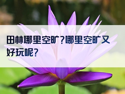田林哪里空旷？哪里空旷又好玩呢？