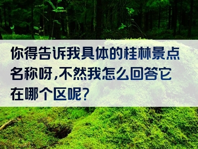 你得告诉我具体的桂林景点名称呀，不然我怎么回答它在哪个区呢？