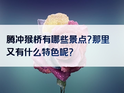 腾冲猴桥有哪些景点？那里又有什么特色呢？