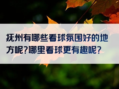 抚州有哪些看球氛围好的地方呢？哪里看球更有趣呢？