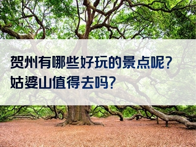 贺州有哪些好玩的景点呢？姑婆山值得去吗？