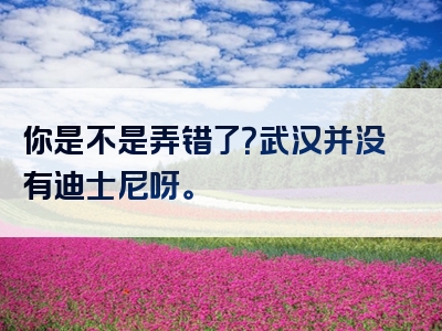 你是不是弄错了？武汉并没有迪士尼呀。