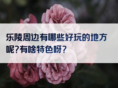 乐陵周边有哪些好玩的地方呢？有啥特色呀？