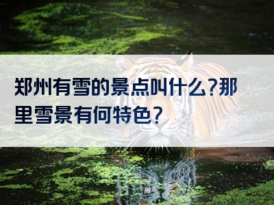 郑州有雪的景点叫什么？那里雪景有何特色？