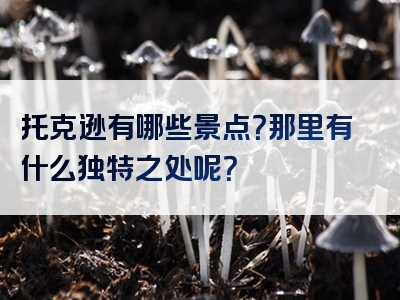 托克逊有哪些景点？那里有什么独特之处呢？