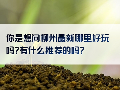 你是想问柳州最新哪里好玩吗？有什么推荐的吗？
