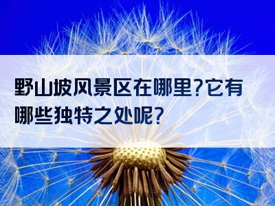 野山坡风景区在哪里？它有哪些独特之处呢？