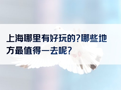 上海哪里有好玩的？哪些地方最值得一去呢？