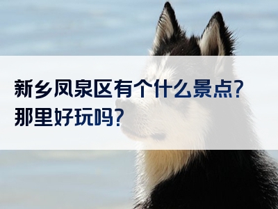 新乡凤泉区有个什么景点？那里好玩吗？